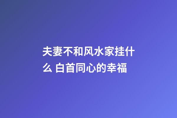 夫妻不和风水家挂什么 白首同心的幸福